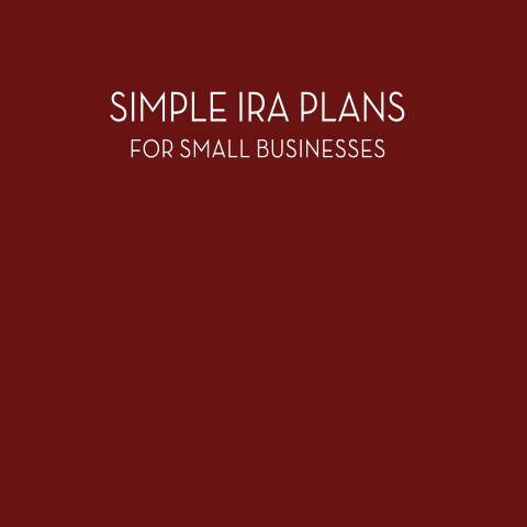 Document preview: IRS Publication p4334 — IRS, United States (CERFA n°PUB-4334)