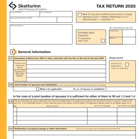 Document preview: Tax return for individuals 2025 — Forms, Ísland (CERFA n°RSK 1.10)