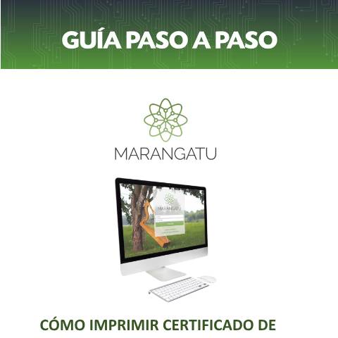 Vista previa del documento Guía Paso a Paso - Cómo solicitar Certificado de Cumplimiento a través de la página Web — Guias, Paraguay