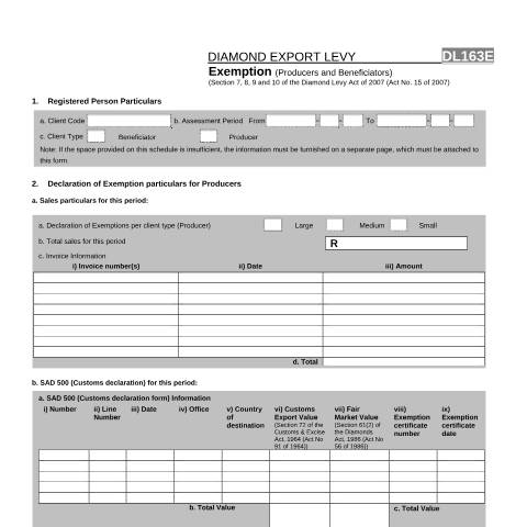 Document preview: DL 163E – Exemption Producers and Beneficators – External Form — PDF Forms, South Africa (CERFA n°DL 163E)
