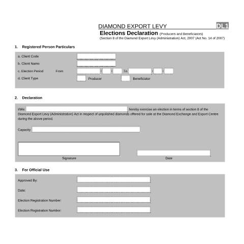Document preview: DL 1 – Elections Declarations – External Form — PDF Forms, South Africa (CERFA n°DL 1)