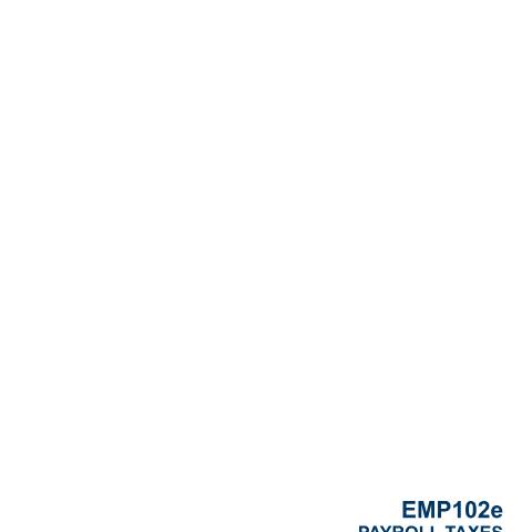 Document preview: EMP102e – Application for Separate Registration of Business or Branch – External Form — PDF Forms, South Africa (CERFA n°EMP102e)