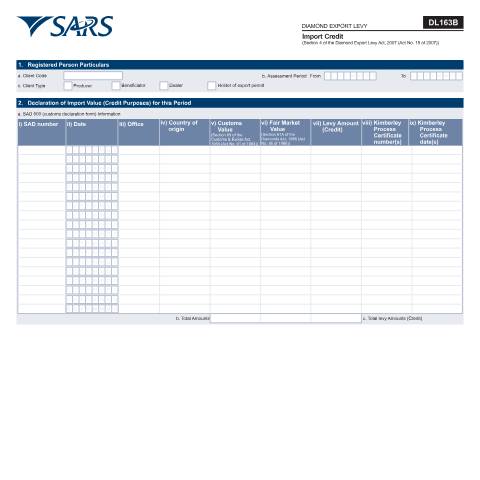 Document preview: DL 163B – Import Credit – External Form — PDF Forms, South Africa (CERFA n°DL 163B)