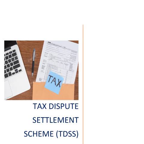 Document preview: Leaflet on Tax Disputes Settlement Scheme (TDSS) 2025 — Guide, Mauritius (CERFA n°TDSSGuide)