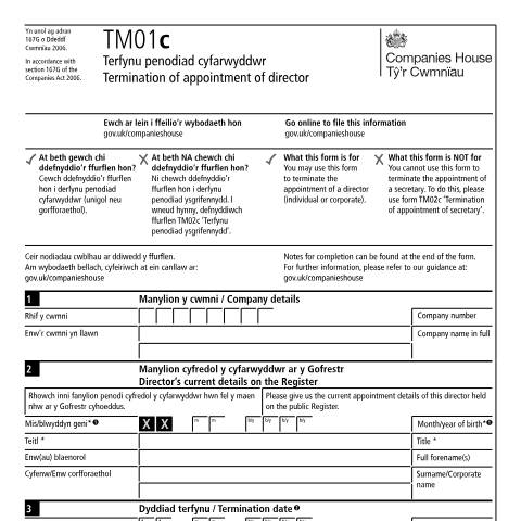 Document preview: Terminate an appointment of a director (TM01c) — Companies House, United Kingdom