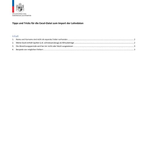 Dokumentvorschau: Tipps und Tricks für die Excel-Datei — Lohn Quellensteuer, Liechtenstein (CERFA n°lst_excel_import_tipps_und_tricks)