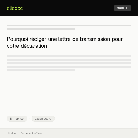 Aperçu du document Transmission électronique de déclaration fiscale annuelle — Entreprise, Luxembourg