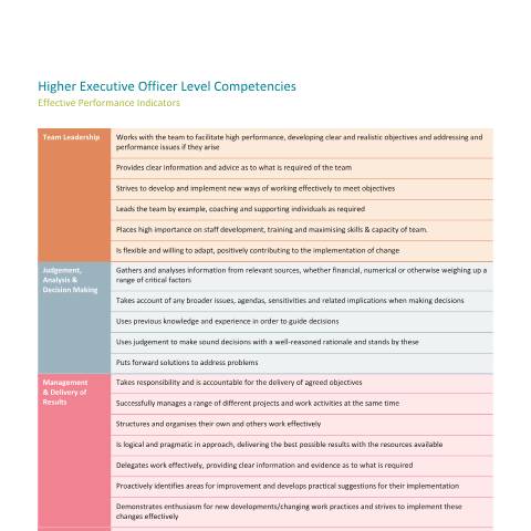 Document preview: Competition for Higher Executive Officer ICT Senior Application Specialist — 2025 Appendix B HEO Higher Executive Officer Competencies — Department of Transport, Ireland