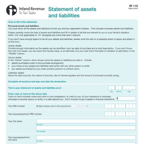 Document preview: Statement of assets and liabilities — International, New Zealand (CERFA n°IR110)
