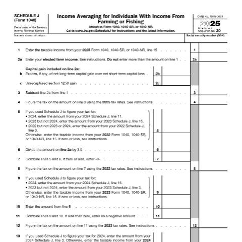 Document preview: IRS Form f1040sj — IRS, United States (CERFA n°1040SJ)