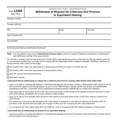 Document preview: IRS Form f12256 — IRS, United States (CERFA n°12256)