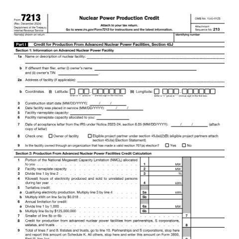 Document preview: IRS Form f7213 — IRS, United States (CERFA n°7213)