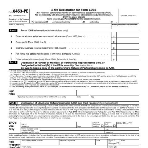Document preview: IRS Form f8453pe — IRS, United States (CERFA n°8453PE)