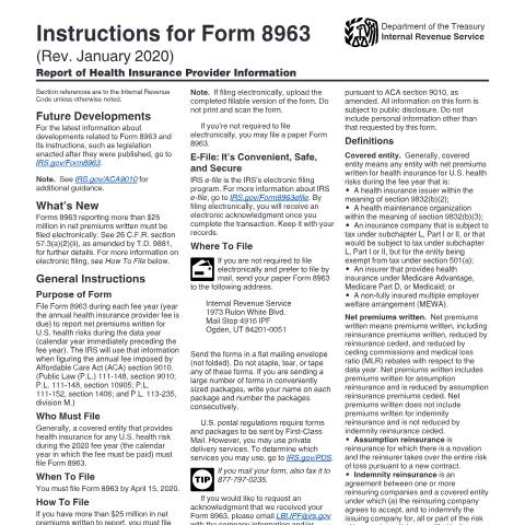 Document preview: IRS Instructions i8963 — IRS, United States (CERFA n°INST-8963)