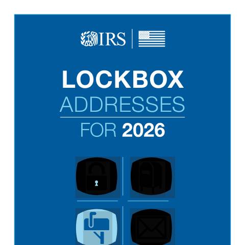 Document preview: IRS Publication p3891 — IRS, United States (CERFA n°PUB-3891)