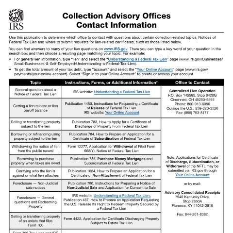 Document preview: IRS Publication p4235 — IRS, United States (CERFA n°PUB-4235)