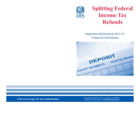Document preview: IRS Publication p4541 — IRS, United States (CERFA n°PUB-4541)