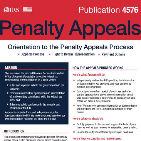 Document preview: IRS Publication p4576 — IRS, United States (CERFA n°PUB-4576)