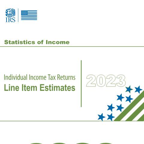 Document preview: IRS Publication p4801 — IRS, United States (CERFA n°PUB-4801)