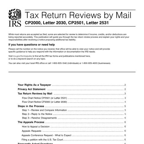 Document preview: IRS Publication p5181 — IRS, United States (CERFA n°PUB-5181)