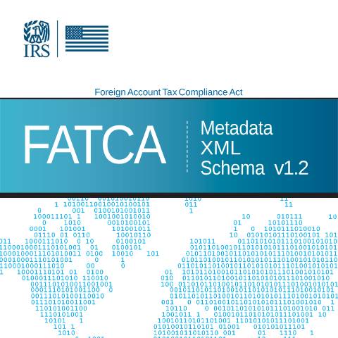 Document preview: IRS Publication p5188 — IRS, United States (CERFA n°PUB-5188)