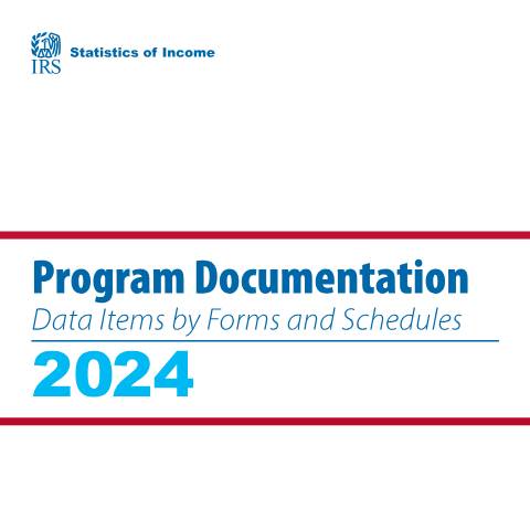 Document preview: IRS Publication p5384 — IRS, United States (CERFA n°PUB-5384)