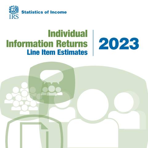Document preview: IRS Publication p5385 — IRS, United States (CERFA n°PUB-5385)