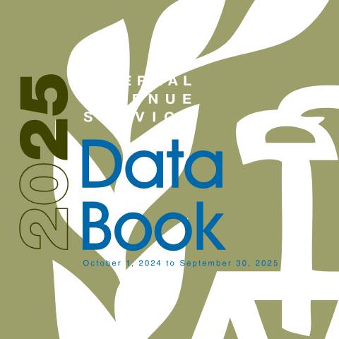 Document preview: IRS Publication p55b — IRS, United States (CERFA n°PUB-55B)