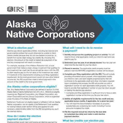 Document preview: IRS Publication p5817c — IRS, United States (CERFA n°PUB-5817C)