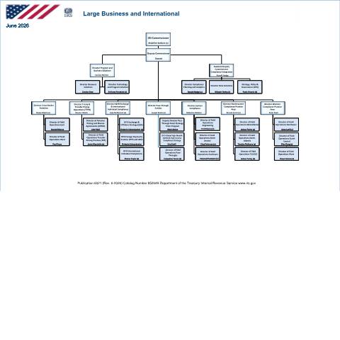Document preview: IRS Publication p6021 — IRS, United States (CERFA n°PUB-6021)