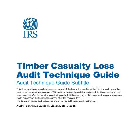 Document preview: IRS Publication p6115 — IRS, United States (CERFA n°PUB-6115)