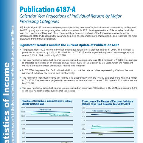 Document preview: IRS Publication p6187a — IRS, United States (CERFA n°PUB-6187A)
