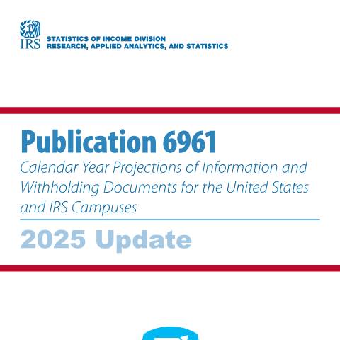 Document preview: IRS Publication p6961 — IRS, United States (CERFA n°PUB-6961)