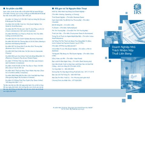 Document preview: IRS Publication p4591vn — IRS, United States (CERFA n°PUB-4591VN)