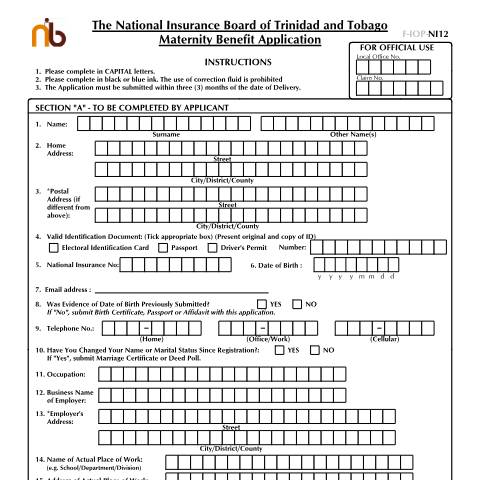 Document preview: NI12 — Form, Trinidad & Tobago (CERFA n°NI12)
