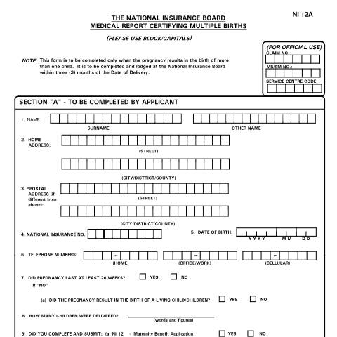 Document preview: NI12A — Form, Trinidad & Tobago (CERFA n°NI12A)