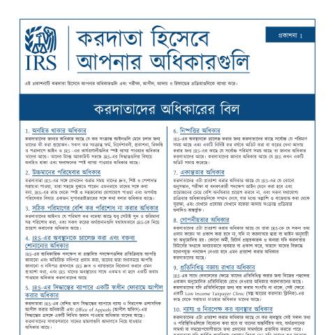 Document preview: IRS Publication p1bn — IRS, United States (CERFA n°PUB-1BN)