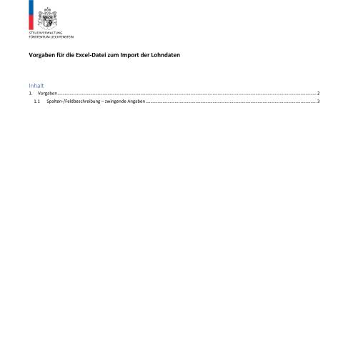 Dokumentvorschau: Vorgaben für die Excel-Datei — Lohn Quellensteuer, Liechtenstein (CERFA n°lst_excel_import_vorgaben)
